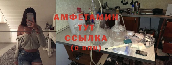 хмурый Новозыбков