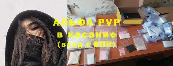 хмурый Новозыбков