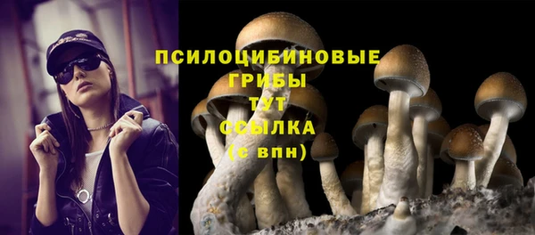 хмурый Новозыбков