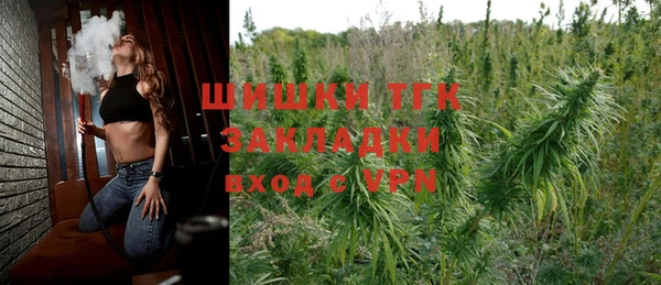 хмурый Новозыбков