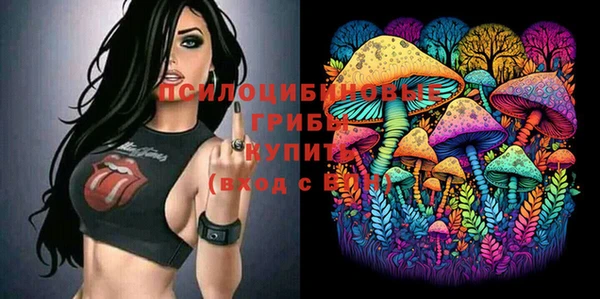 хмурый Новодвинск