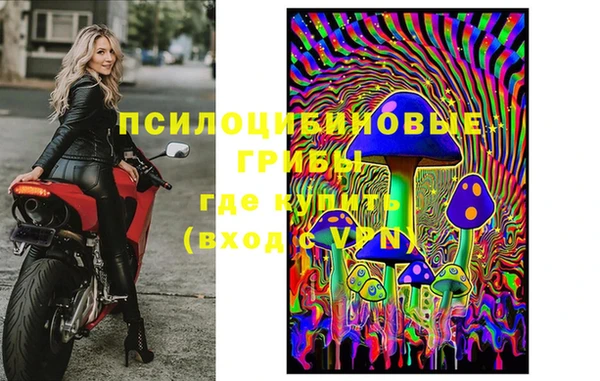 PSILOCYBIN Новокубанск