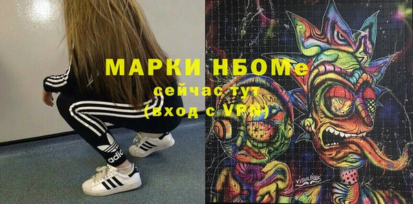 хмурый Новозыбков